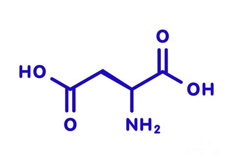 Aspartic Acid Amino Acid Molecule #1 Photograph by Molekuul/science Photo Library - Fine Art America