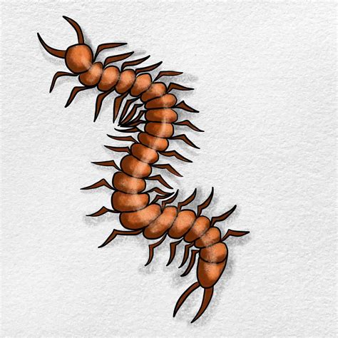 How to Draw A Centipede - HelloArtsy