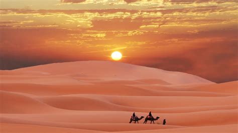 Sahara Desert Wallpapers - Top Free Sahara Desert Backgrounds ...