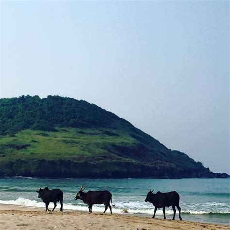 Beach Trippin @ Ganpatipule, Ratnagiri - Tripoto