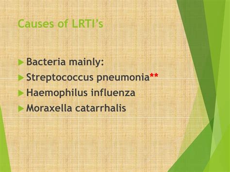 PPT - Treatment Of Respiratory Tract infections PowerPoint Presentation ...