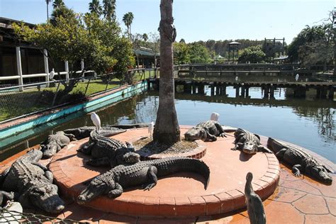 5 Things To Do At Gatorland #FLBlogTrip - Just Short of Crazy