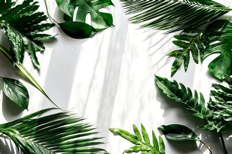 Tropical green leaves on white background | premium image by rawpixel ...