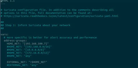 How to Install Suricata IDS on Ubuntu 20.04 – LinuxWays