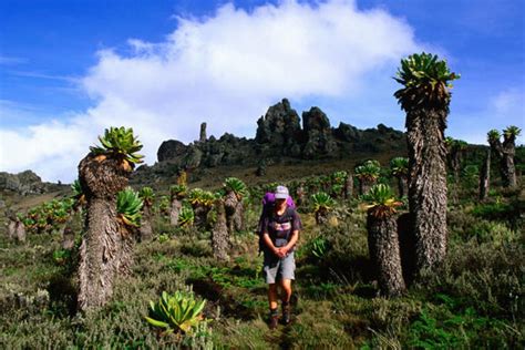 Mount Elgon Hiking. Hiking Mount Elgon Tours