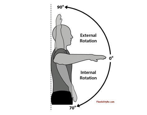 Someone explain external vs internal shoulder rotation - Instruction ...