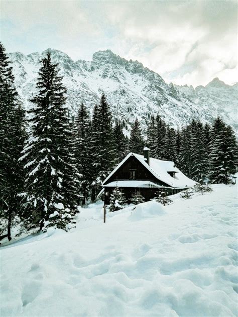 Pin by Edgar Brown on Cabins and serenity | Beautiful moon pictures ...