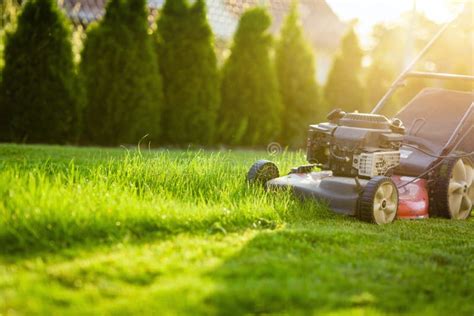 20,707 Lawn Mower Stock Photos - Free & Royalty-Free Stock Photos from ...