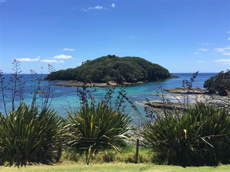 Goat Island Dive & Snorkel | New zealand beach, New zealand travel ...