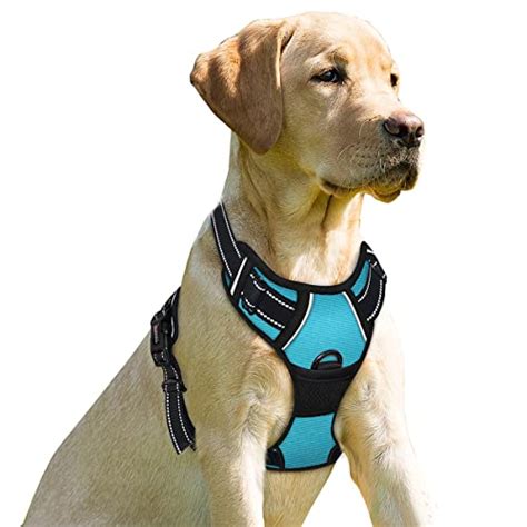 Dog Harnesses for Extra Large Dogs | Retrievist