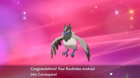 Shiny Rookidee evo line | Pokémon Amino