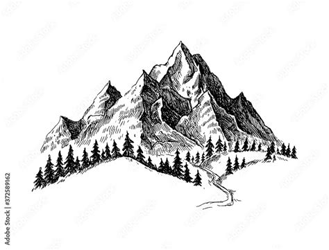 Mountain with pine trees and landscape black on white background. Hand ...