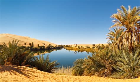 Cinco oasis en el desierto Libia1 - Travel Report