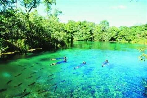 Bonito - Mato Grosso do Sul: Pontos Turísticos - Guia Viajar