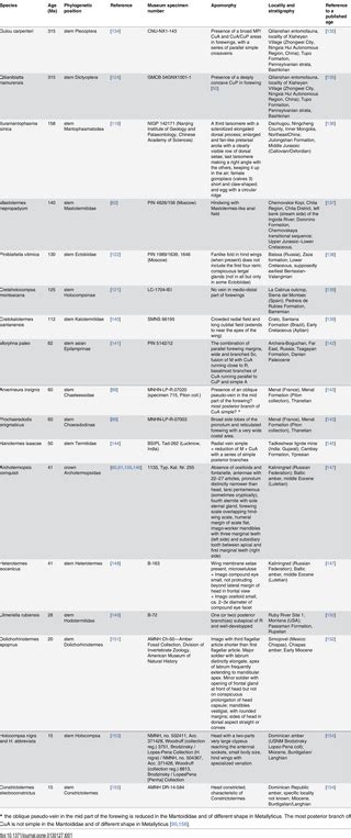 Phylogeny of Dictyoptera: Dating the Origin of Cockroaches, Praying Mantises and Termites with ...