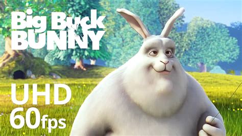 Big Buck Bunny 60fps 4K - Official Blender Foundation Short Film - YouTube