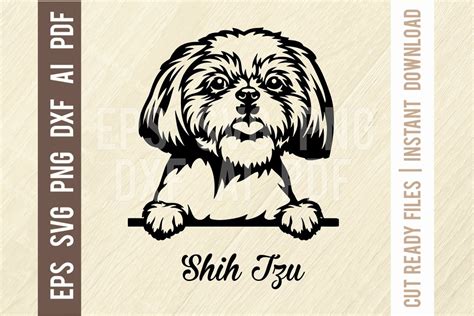 Shih Tzu Vector Silhouette Shih Tzu Dog Silhouette Sh - vrogue.co