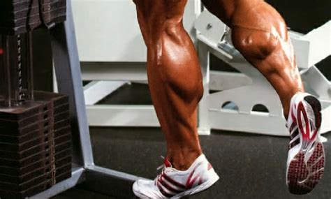 Smith Machine Standing Calf Raise - Bodybuilding Wizard