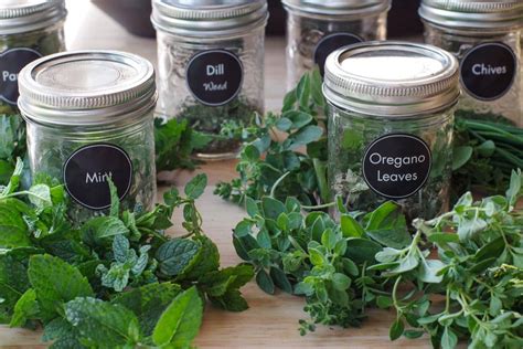 How to Dehydrate Herbs in the Air Fryer - Food Meanderings