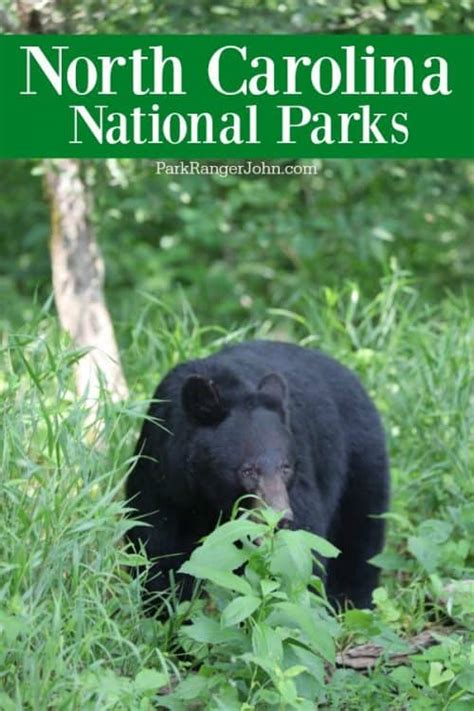 10 Great National Parks in North Carolina | Park Ranger John