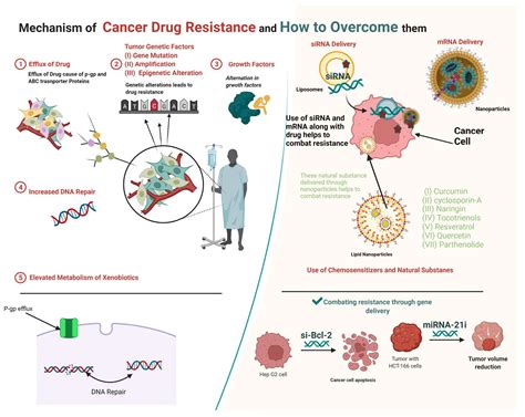 Cancers | Free Full-Text | Recent Trends in Nanomedicine-Based Strategies to Overcome Multidrug ...