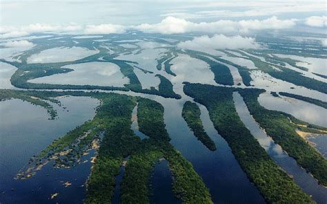 VAI NA MINHA: ANAVILHANAS - AMAZONIA