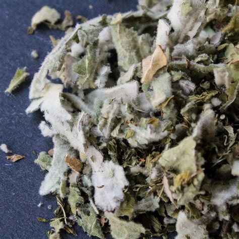 Respiratory Herbs: Mullein Benefits & Lung Support Tea