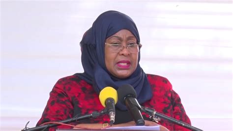 Vice President, Samia Suluhu Hassan Calls for Concerted Efforts In ...