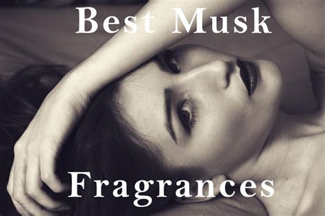 9 Best Musk Fragrances: Top Scents For Men - Country Club Fragrance Reviews