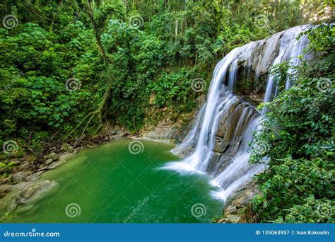 Beautiful Gozalandia Waterfall in San Sebastian Puerto Rico Stock Image - Image of scenic ...