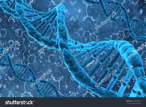 Human Dna Structure Of The Cell Stock Photo 144670574 : Shutterstock