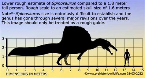 Spinosaurus Size Chart