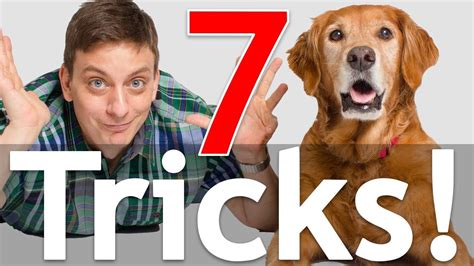 7 Dog Tricks in 5 Minutes! - YouTube