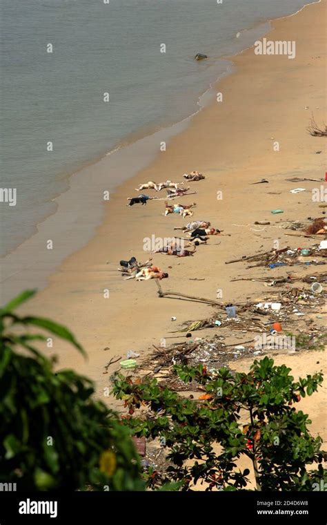 Thailand earthquake 2004 hi-res stock photography and images - Alamy