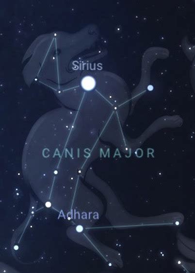 Sirius The Dog Star - Brightest Star In The Earth's Night Sky! | HobbyKraze