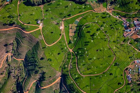 Aerial view of Ella Tea Garden, Nuwara Eliya, Sri Lanka - Stock Image ...