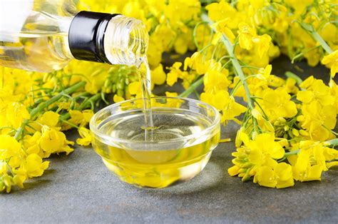 Canola oil | Description, Uses, Ingredients, & Benefits | Britannica