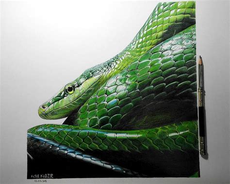 Green snake Drawing by Nasir Nadzir | Pixels