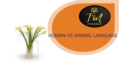 Human&animal communication | PPT