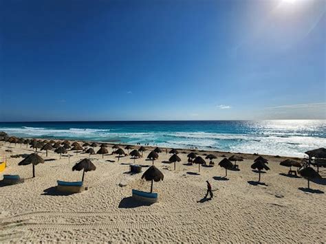 Top 4 Things to Do in Playa Delfines Cancun