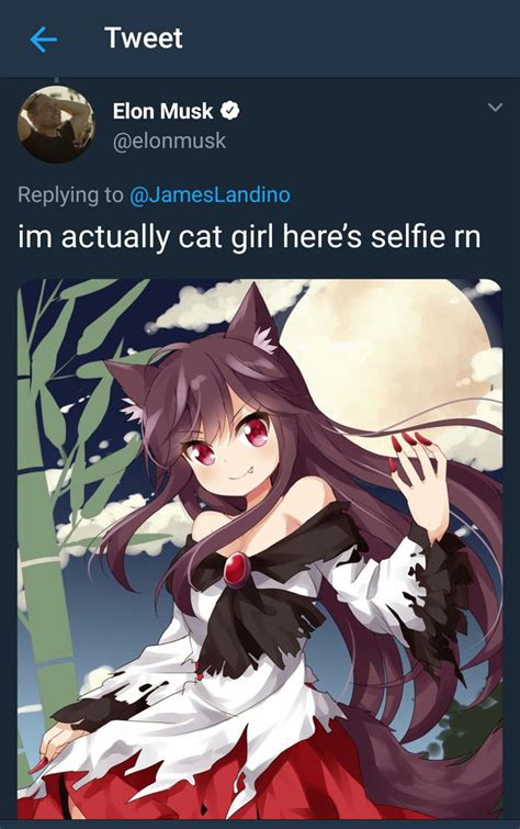 Elon musk revealing his first genetically engineered catgirl prototype ...