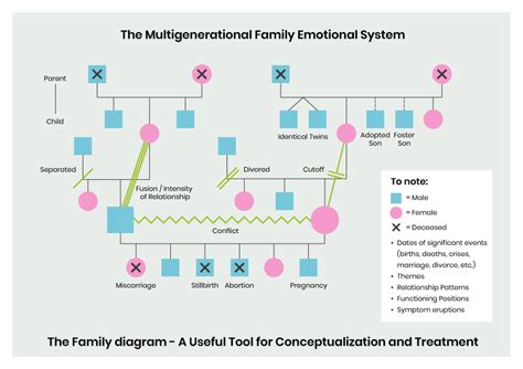 Bowen Family Systems Theory – ISSFI