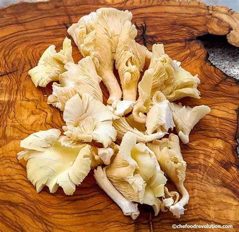 Nutritional Benefits Of Oyster Mushrooms | Besto Blog