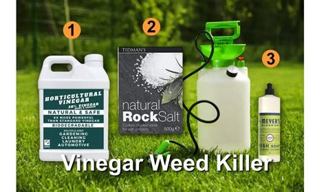 🏡 The Best Homemade Vinegar Weed Killer Recipe