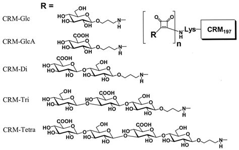 Hapten Conjugate Vaccine Design - Creative Biolabs