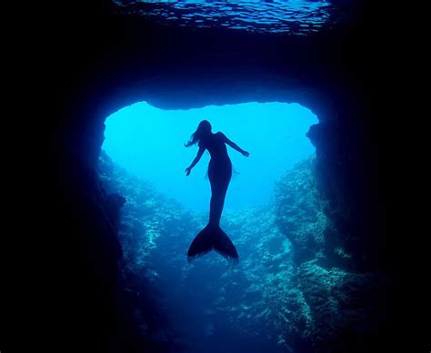 A Real-Life Mermaid Who Swims With Sharks Using Her Fish Tail And Holds Breath For 2 Minutes ...