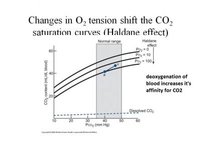 Myth: COPD & Hypoxic drive. – Foamed