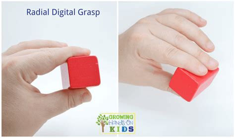 Typical Pencil Grasp Development for Kids