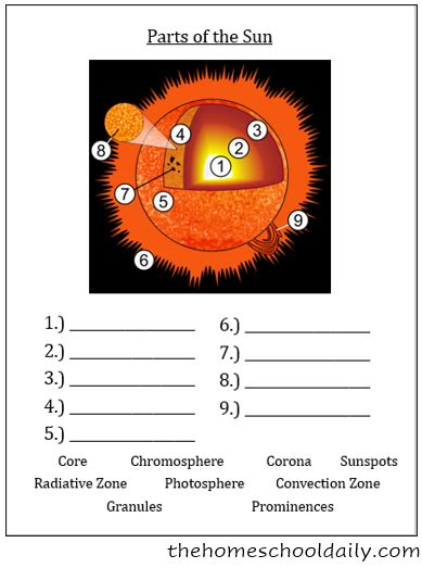 Layers of the Sun Unit - The Homeschool Daily