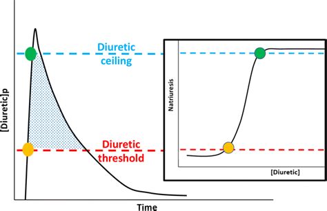 Loop diuretic pharmacokinetics and dose-response curve. The loop ...